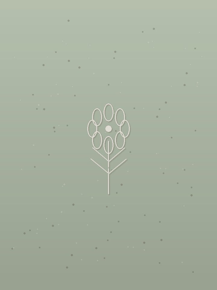 Kota Doria Chikankari Suit &mdash; Sage Green